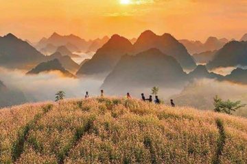 Ha Giang Loop 3 days/ 2 nights Easy Rider/ Self Rider