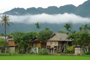 Cuc Phuong National Park and Mai Chau Tour 3 Days