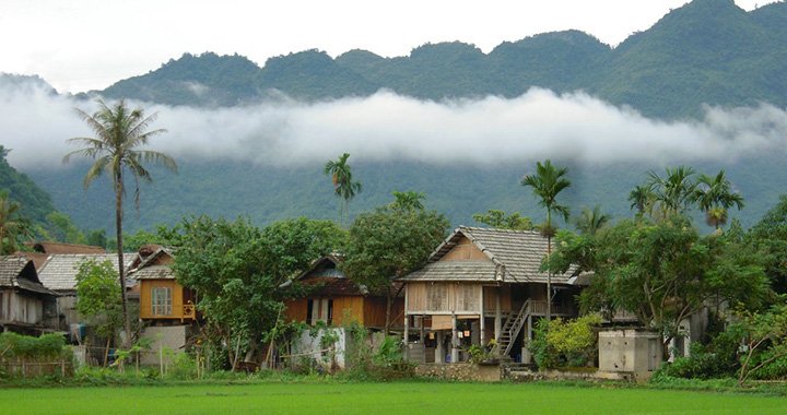 Cuc Phuong National Park and Mai Chau Tour 3 Days1