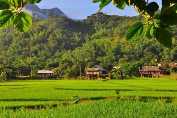 Mai Chau – Puluong- Ninh Binh- Cat Ba – Lan Ha Bay