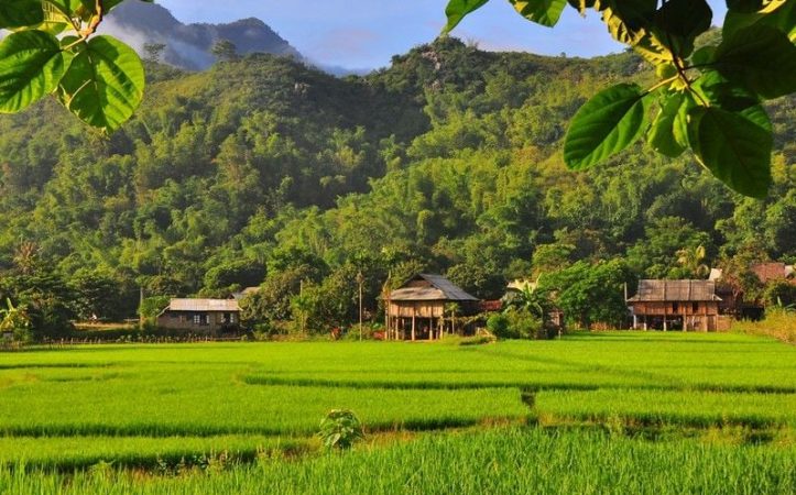 Mai Chau – Puluong- Ninh Binh- Cat Ba – Lan Ha Bay1