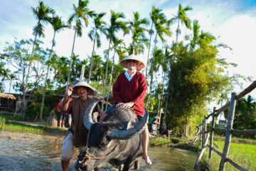 Vietnam Like a Local – Private Tour 14 days