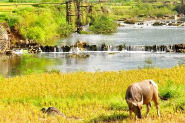 Pu Luong & Mai Chau Hiking 2 Days