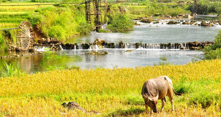 Pu Luong & Mai Chau Hiking 2 Days1