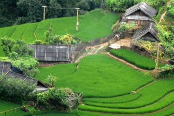 Sapa Bac Ha 4 Days